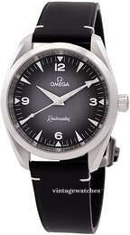 Omega Seamaster Railmaster 235.12.38.20.06.001